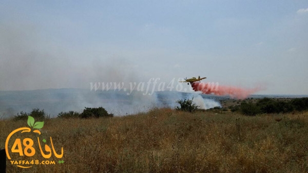 fire a7rsaah (1).jpg